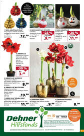 Dehner Prospekt woche 47 Seite 3