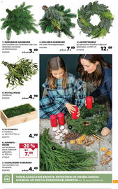 Dehner Prospekt woche 47 Seite 5