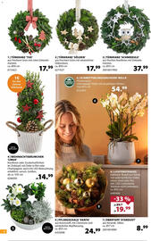 Dehner Prospekt woche 47 Seite 6