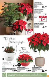 Dehner Prospekt woche 47 Seite 7