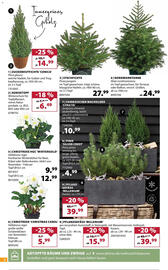 Dehner Prospekt woche 47 Seite 8