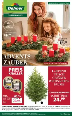 Dehner Prospekt (gültig bis 24-11)