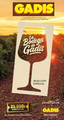 Folleto Gadis (válido hasta el 13-12)