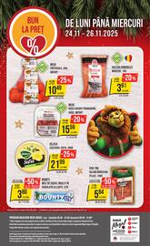 Catalog Mega Image săptămâna 47 Pagină 24