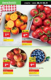 Biedronka gazetka tydzień 47 Strona 17