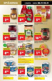 Biedronka gazetka tydzień 47 Strona 49