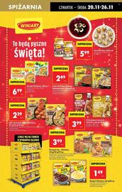 Biedronka gazetka tydzień 47 Strona 51