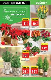 Biedronka gazetka tydzień 47 Strona 78