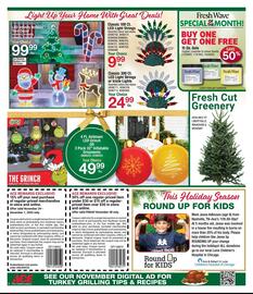 Ace Hardware flyer Page 2