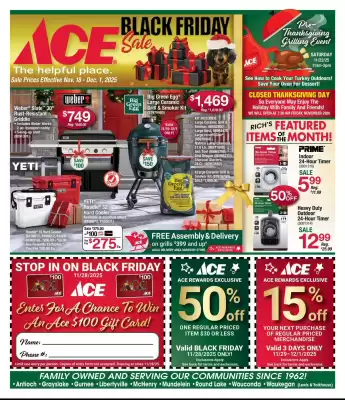 Ace Hardware flyer (valid until 1-12)