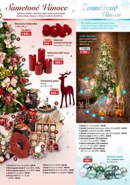 Mountfield leták Strana 7