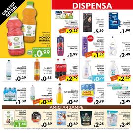 Volantino Eurospesa Pagina 10