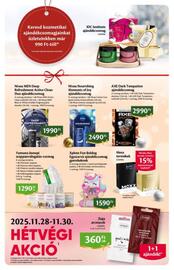 EcoFamily akciós újság Oldal 13