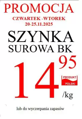 Wizan gazetka (ważność do 25-11)