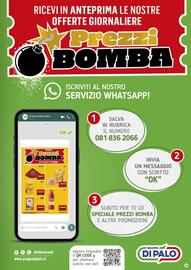 Volantino Gruppo di Palo Pagina 13