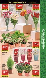 Delikatesy Centrum gazetka tydzień 47 Strona 7