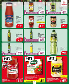 Selgros gazetka Strona 13