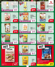 Selgros gazetka Strona 15