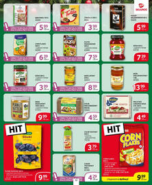 Selgros gazetka Strona 17