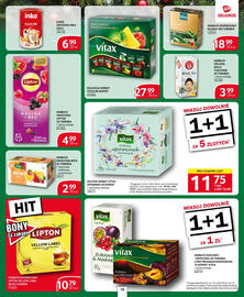 Selgros gazetka Strona 19