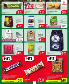 Selgros gazetka Strona 25