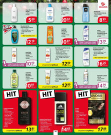 Selgros gazetka Strona 37