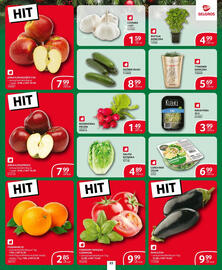 Selgros gazetka Strona 44