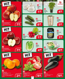 Selgros gazetka Strona 44