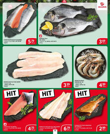 Selgros gazetka Strona 47