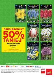 Polomarket gazetka tydzień 47 Strona 6