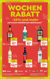 ADEG Flugblatt woche 47 Seite 12