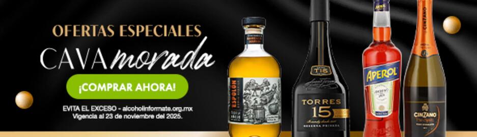 Folleto Bodegas Alianza Página 2