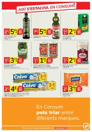 Catálogo Consum Página 13