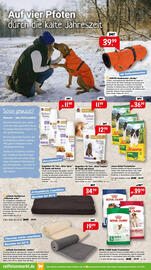 Raiffeisen Markt Prospekt Seite 2