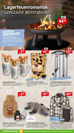 Raiffeisen Markt Prospekt Seite 7