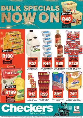 Checkers catalogue (valid until 7-12)