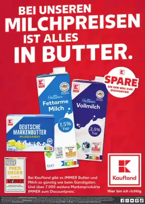 Kaufland Prospekt (gültig bis 21-11)