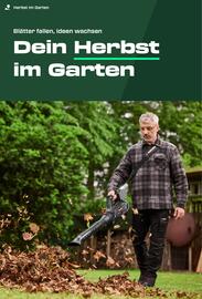 Kaufland Prospekt | Parkside Seite 4