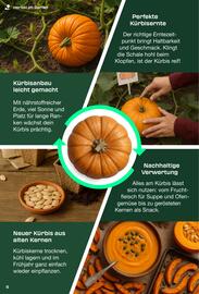 Kaufland Prospekt | Parkside Seite 9