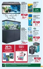 Dehner Flugblatt woche 47 Seite 13