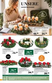 Dehner Flugblatt woche 47 Seite 2