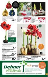 Dehner Flugblatt woche 47 Seite 3