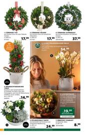 Dehner Flugblatt woche 47 Seite 6