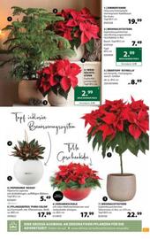 Dehner Flugblatt woche 47 Seite 7