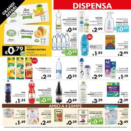 Volantino Maxi Supermercati Pagina 10