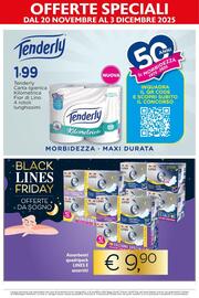 Volantino Maxi Supermercati Pagina 17