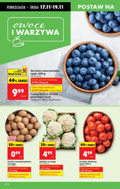 Biedronka gazetka tydzień 47 Strona 22