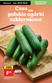 Biedronka gazetka tydzień 47 Strona 27