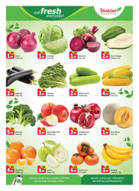 Shaklan leaflet Page 2