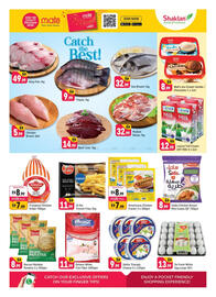 Shaklan leaflet Page 3